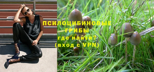 стаф Баксан