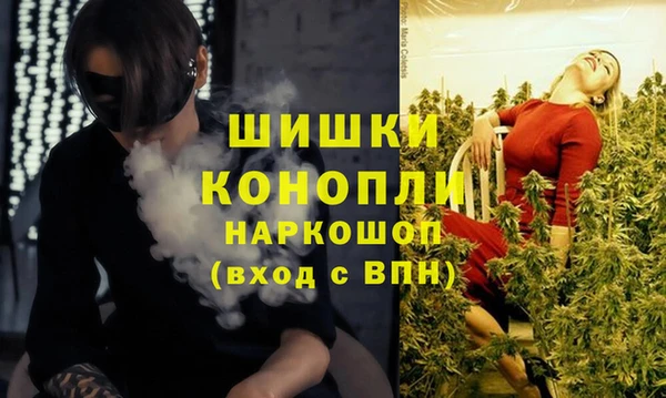 шишки Балабаново