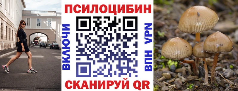 Галлюциногенные грибы Magic Shrooms  Мариинск 